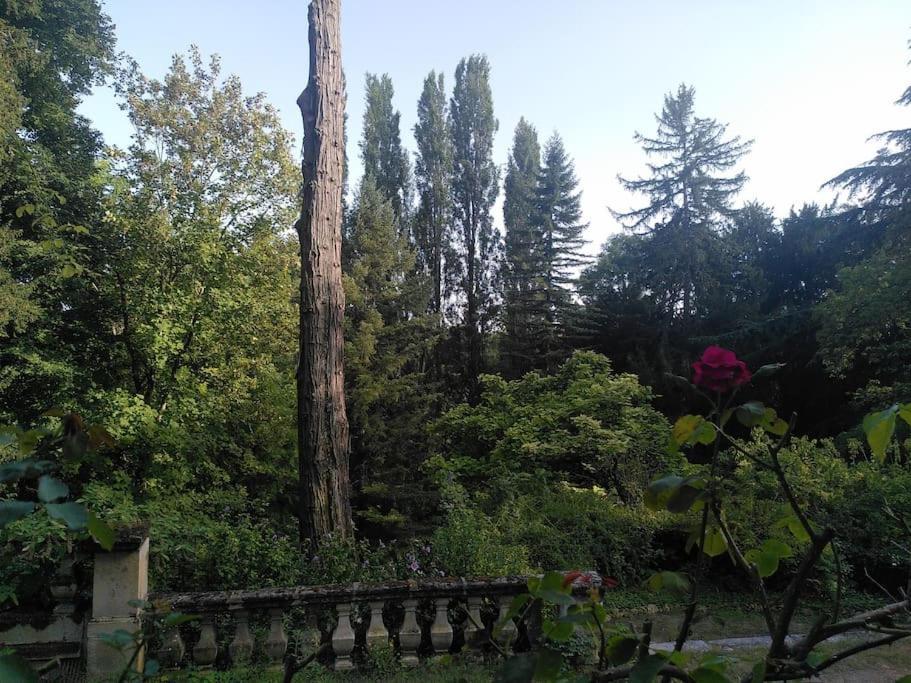 Magnifiques Ecuries Juste Renovees - Domaine De La Mulotiere Villa Langeais Exterior foto